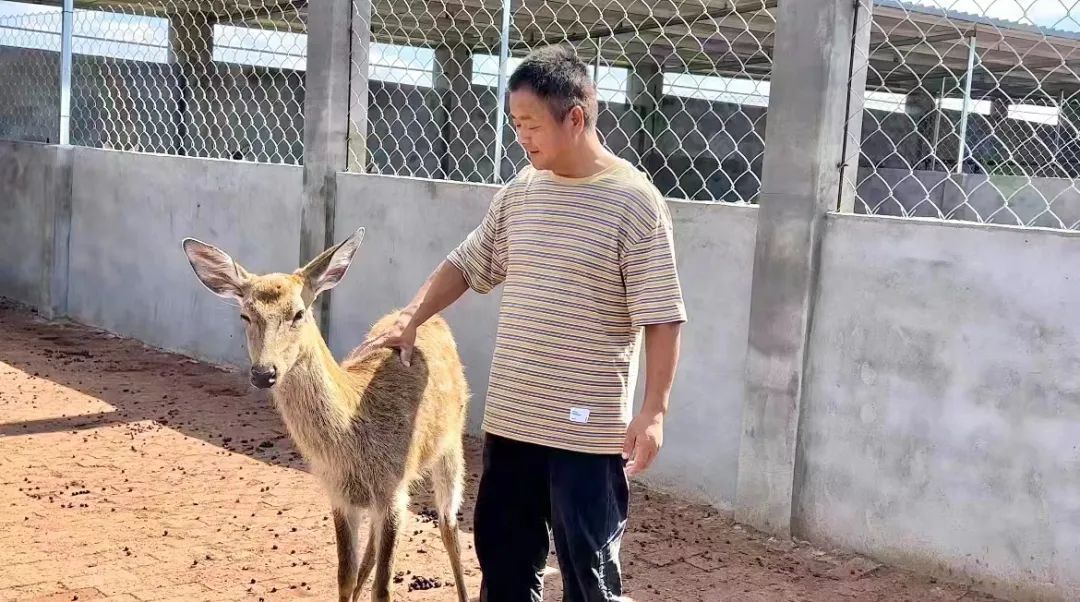手机购彩官网